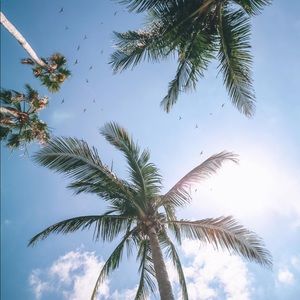 Meet your Posher, Diana